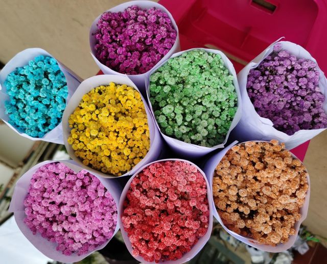 fresh cut flower supplier from China Color Colorful Form Fresh Cut Shelf Life Best Quality Weight Per Bundle 0.5kg Brand Name Millionsflower - Image 2