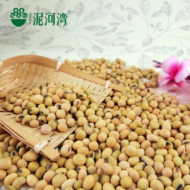2023 Crop Chinese High Protein soya en grano Yellow Soybean Soya Beans / Soy Bean For Sale - Image 4