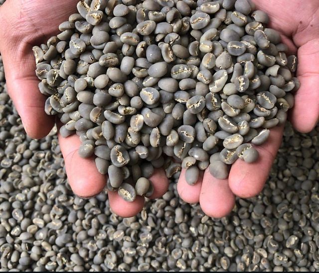 Greenbean Coffee,Roastedbean Coffee,Ground Coffee – product photo 3, product detail gallery
