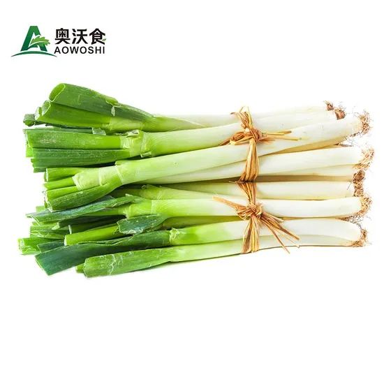 High Quality China Fresh Green Onion/Scallion Grade a+ Trademark aowoshi HS Code 0703902000 Shef Time 5 Months Model NO. - Image 1