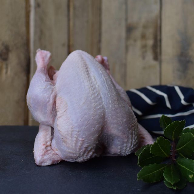 Whole Frozen Chicken With Premium Quality Frozen Chicken Cuts Ready For Processing And Export To Global Markets - Image 3