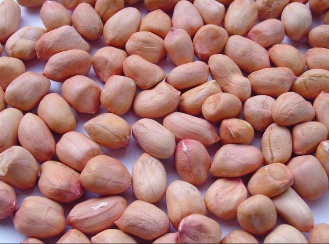 Natural Raw Peanut Kernels for Peanut Butter Production Snack Manufacturing and Everyday Food Applications - Image 4