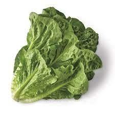 Fresh romaine lettuce Grade A Content no Style Fresh Weight (kg) 0 Ingredients no Storage Type frsh Shelf Life 9months Address south - Image 4