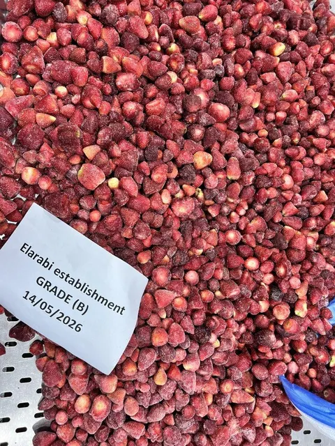 IQF Frozen Strawberry high FLAV WITHOUT SUGER GRADE (A - B - AB) – product photo 7, product detail gallery