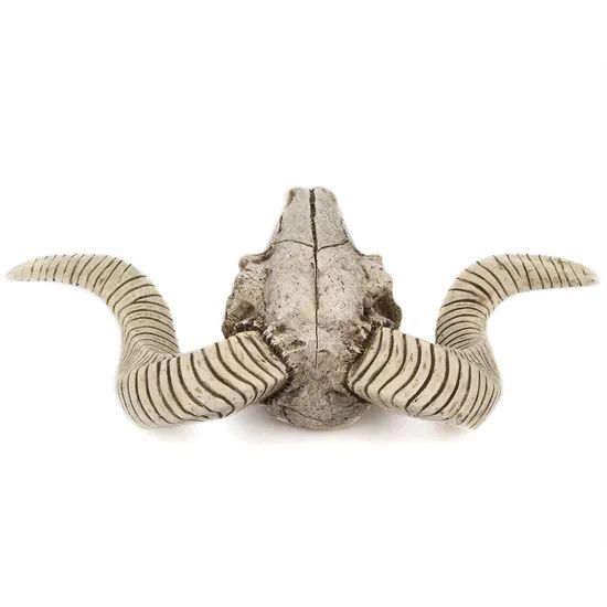 Antique Goat Head Skull Wall Hanging Sheep Head Skeleton Resin Crafts - Image 3