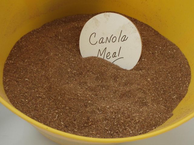 Rapeseed Meal and Canola Meal Oil Content 1.5% Shelf Life 2 years Moisture Content 10% Fat Content 1.5% Max Crude Fiber Content 12% - Image 1
