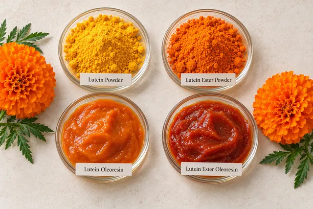Lutein ester for nutraceuticals and animal feed - Image 4