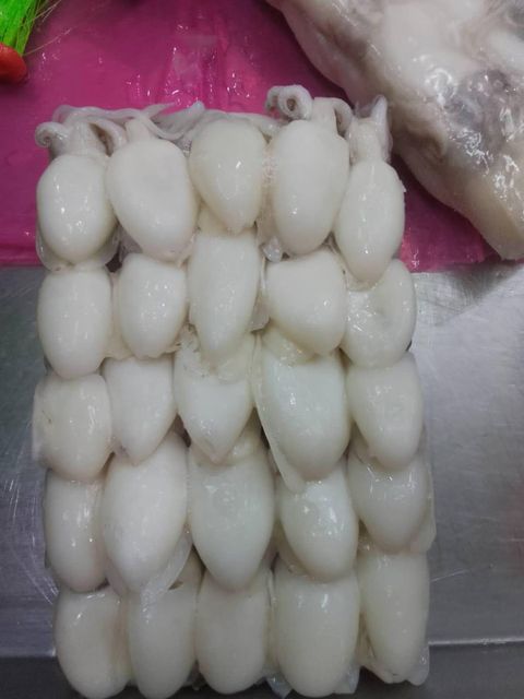 Frozen Baby Cuttlefish Whole Cleaned Premium Quality - Image 1