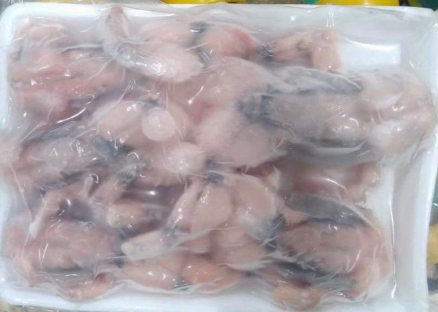 Full of size Frozen skinless bull frog legs GAP KOSHER Certificate from Vietnam - Image 3