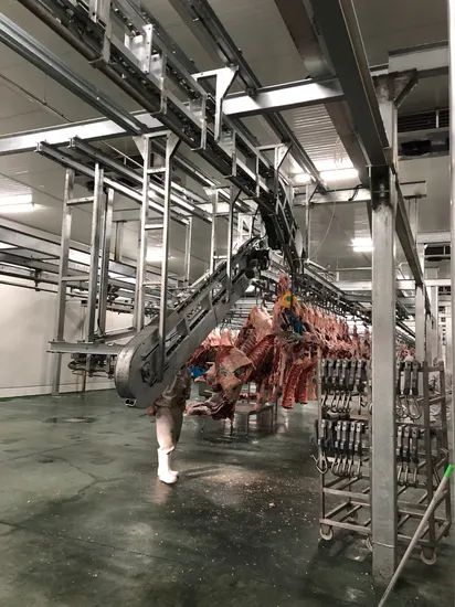 Fully Automatic Slaughtering Equipment for Cattle - Image 3