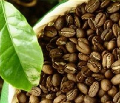 Coffee & Coffee Bean Price Per Kilogram Usd 5 Supply Chain Reliability Dependable Quality Assurance Backed By Quality Assurance - Image 7