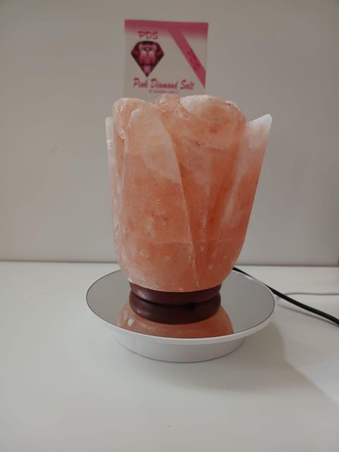 Himalayan Pink Salt Flavor Salt Port Pakistan Ingredients Salt Delivery Form Bag Type Natural pink salt Weight > 25 kg to 1000 kg - Image 21