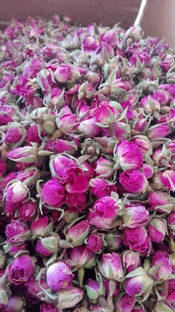 Rose Flower, Petals, Buds, Damask rose Origin Asia Primary Use Tea Flavor Type Floral Aromatic Use Potpourri Tertiary Use Spice Blend - Image 3