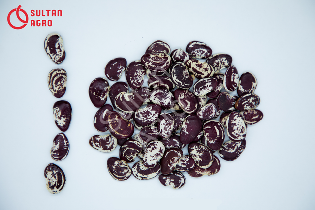 Natural red speckled kidney beans high grade organic kidney beans in bulk from Uzbekistan manufacturer - Image 3