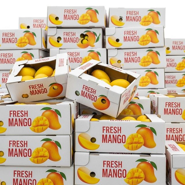 Fresh Mango Superior Quality Fruit Offering Juicy Pulp Balanced Taste And Reliable Supply For International Buyers - Image 4