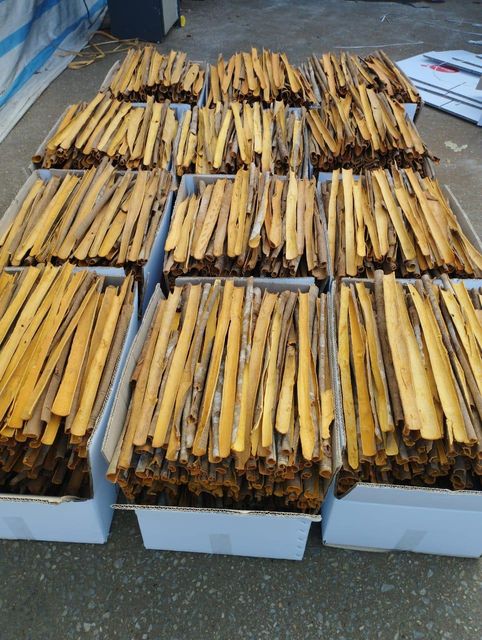 cigar cassia / split cassia /pressed cassia / broken cassia - Image 2