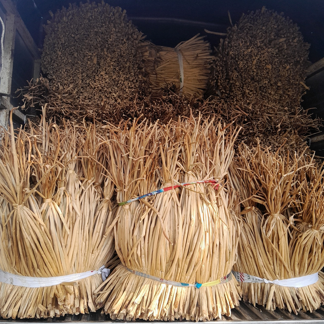 Dried Water Hyacinth Raw Material - Natural Fiber from Vietnam - Image 4