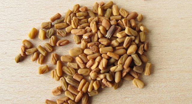 Fenugreek Seeds (Whole) Moisture Max 10% Foreign Matter Max 1% Purity 99% – 99.5% Min Extraneous Seeds Max 1% Color Yellow To Light - Image 1