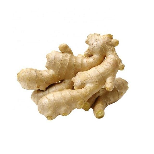 Ginger Factory Offers Wholesale of Low-priced and High-quality in Large Quantities For Sale - Image 4