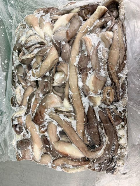 Gigant Squid (Dosidicus Gigas) - Fillets - Wings - Tentacles - Image 5