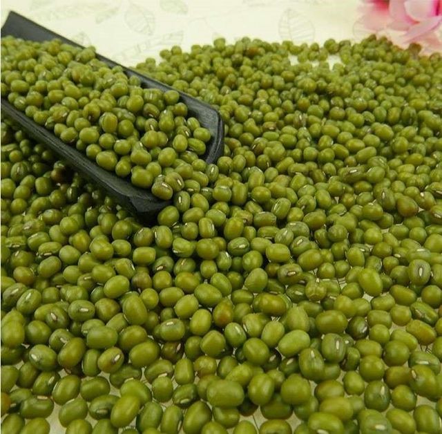 Green Mung Beans for sale, Organic Green Moong Dal - Image 1