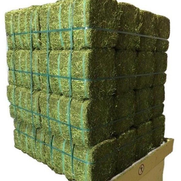Quality alfalfa hay bays / Alfafa pellets / Dehydrated Alfalfa cubes timothy hay Cheap Top Quality Alfafa Hay for Animal Feeding Stuff Alfalfa ,hay/Timothy hay - Image 3