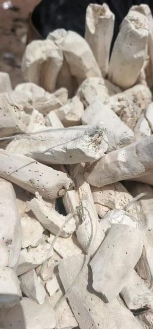 Dried cassava tubers - Image 1