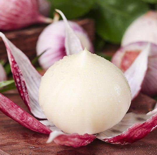 Hot Selling Garlic Extract Powder Affordable Price Dried Garlic Powder For Sale - Image 4