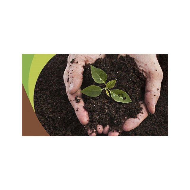Peat moss wholesale supply for exporters and distributors worldwide Peat moss offered at factory discount - Image 4