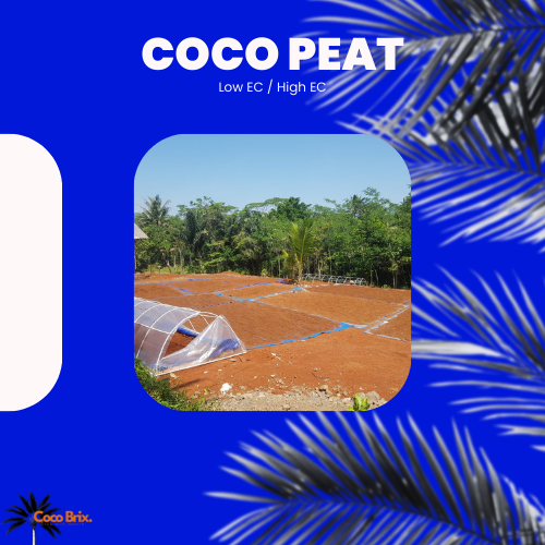 Eco-Friendly Natural Coco Peat Blocks - Image 3