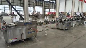 Automatic Penicillin Ampoule Liquid Filling and Capping Production Line - Image 1