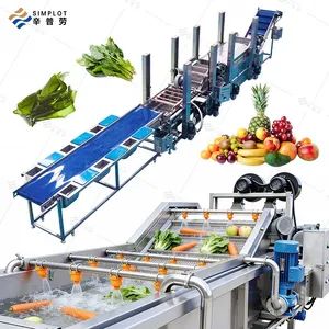 Commercial Fruit Vegetable Processing Line Bubble Washing Drying Sorting Machine for Mango Avocado Date Orange Lemon - Image 6