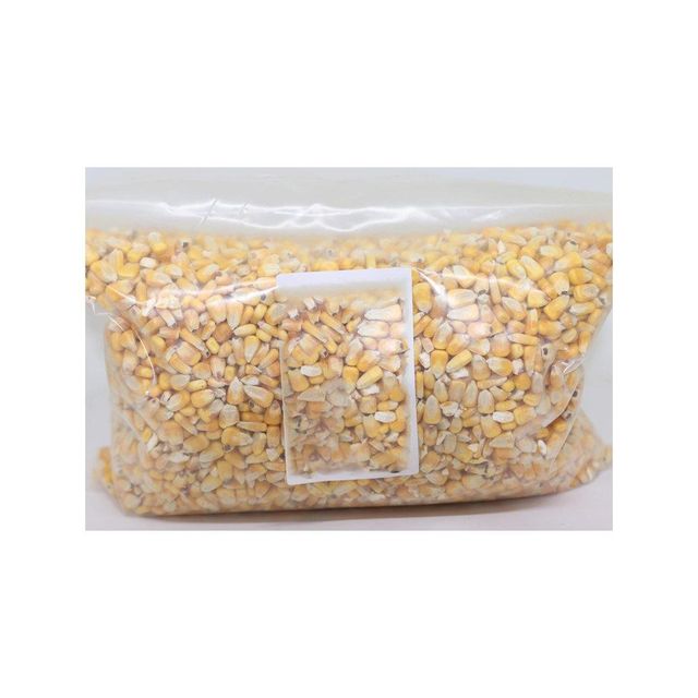 Yellow corn offered in large lots for cost-effective wholesale and volume buyers - Image 1