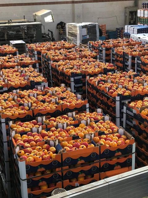 Valencia Oranges 🍊🍊 Form Egypt Grade 1 . 2 Texture Firm Appearance Bright Juice Content High Flavor Bright, Tangy Sweetness - Image 3