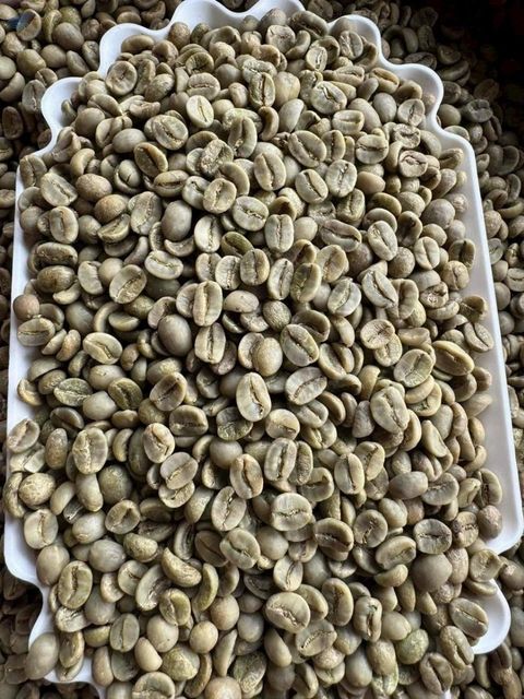 Arabica Coffee Green Beans - Image 1