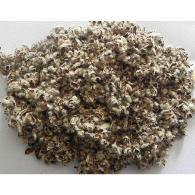 Cottonseed Hulls Selected Fiber Rich Feed Material For Dairy Herd Nutrition And Improved Feeding Performance Daily - Image 3