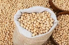 Soybeans Wholesale - Image 2