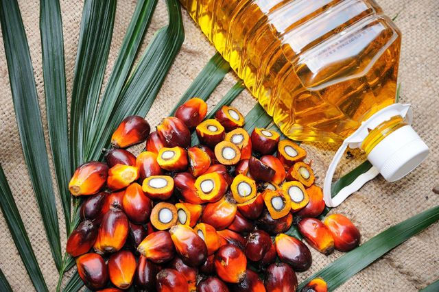 Manufacturer Supply Wholesale Bulk Price RBD Palm Oil 100% Pure Natural Organic Red Palm Oil - Image 4