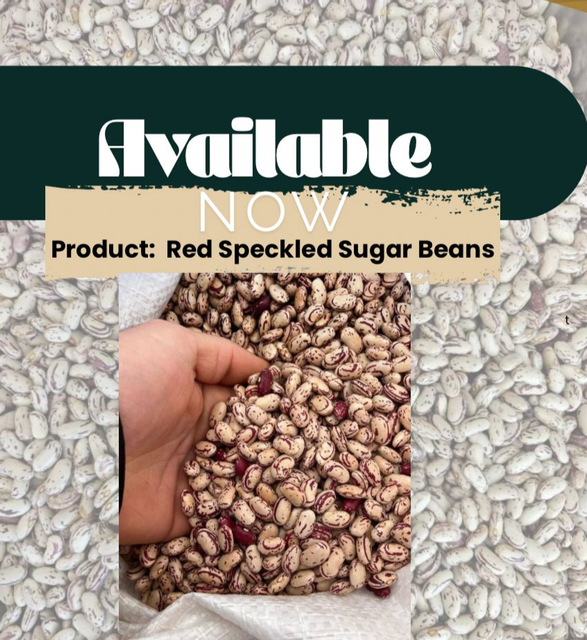 Red speckled sugar beans - Image 1