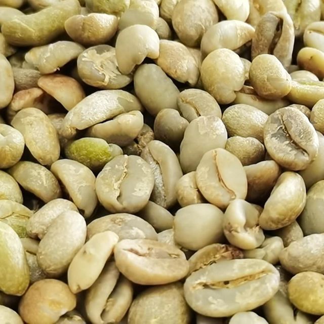 Ethiopian Green Coffee Beans Grade 1 (Yirgacheffe,Sidamo,Guji, Tepie) - Image 2