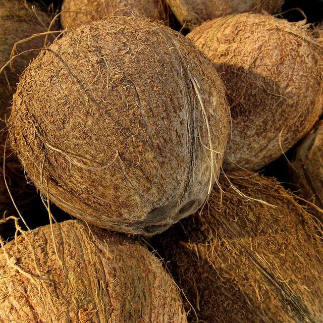 Semi husked coconut whole (mature) from Ivory Coast - Image 3