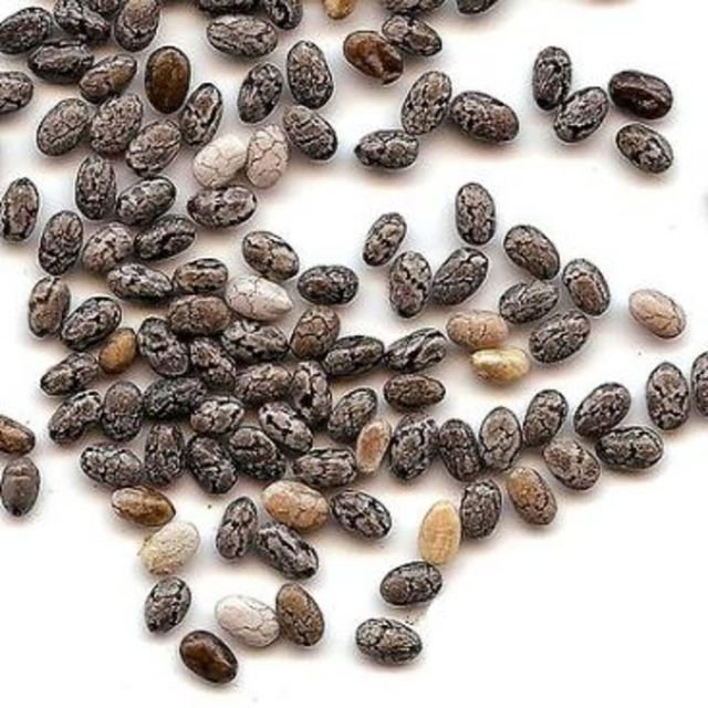 Natural Harvested Black Chia Supply Featuring Organic Chia Seeds Clean Processed Packets - Image 3