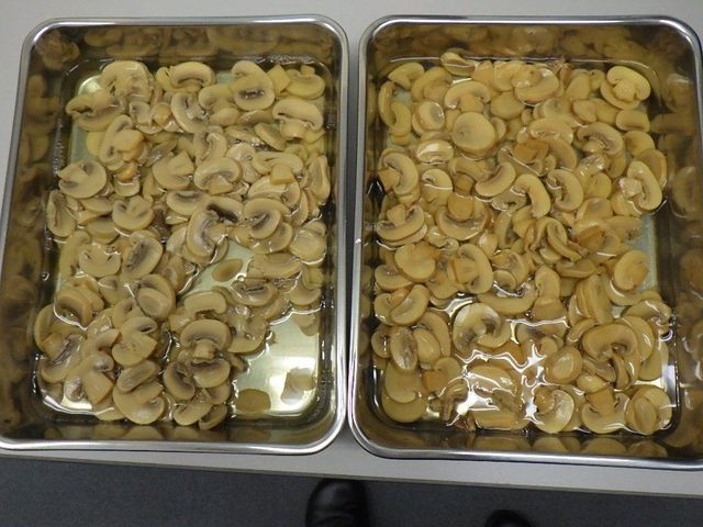 mushroom canned button and whole from Vietnam - Image 4