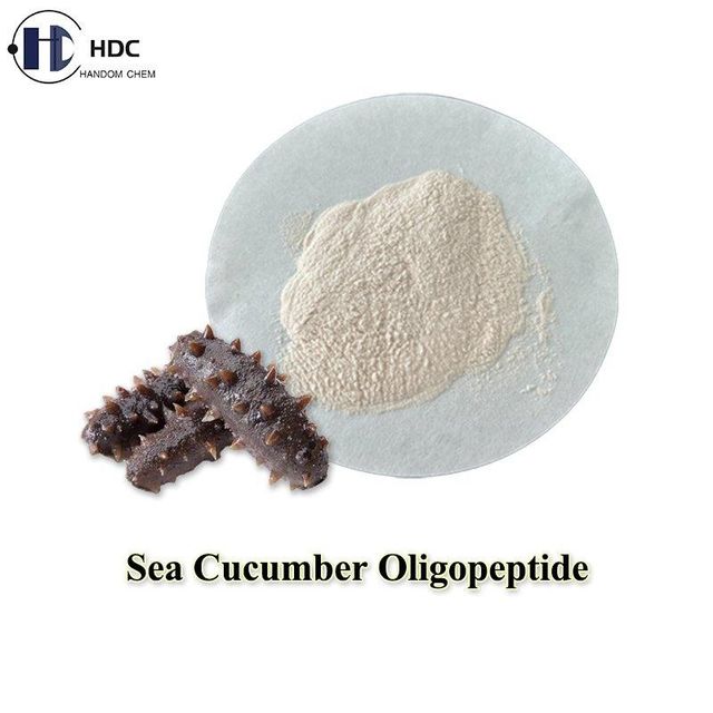 Sea Cucumber Peptide used to lower blood lipids, enhance immunity and improve sleep - Image 1