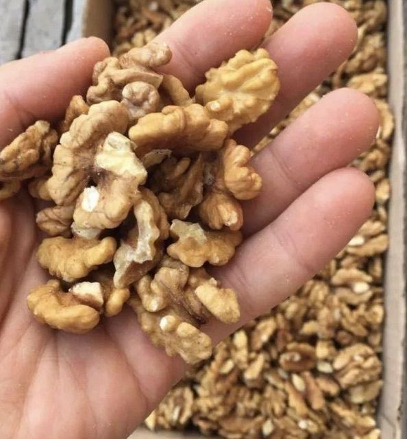 Hand Selected Light Walnut Kernel Bulk Supplier High Oil Premium Export Quality - Image 3