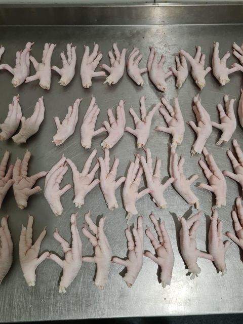 ROZPED GLOBAL Sp. z o.o. - Frozen chicken paws , GACC approved - Image 4