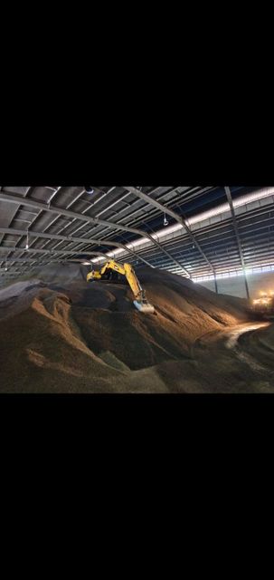 Palm kernel sheel - Image 1