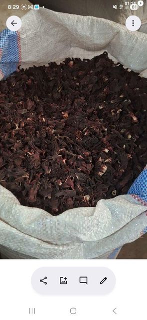 Sun-dried hibiscus flower - Image 1