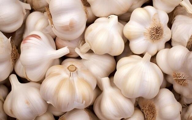 Garlic: Planting, Growing, and Harvesting Garlic Bulbs | The Old Farmer - Image 3
