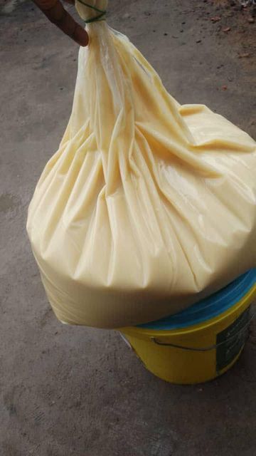 Shea Butter Origin Nigeria Color Yellowish Processing Type 30 Texture Rich, Creamy Place of Origin Nigeria Shipment Schedule Flexible, With Reliable Logistics To Designated Port - Image 4